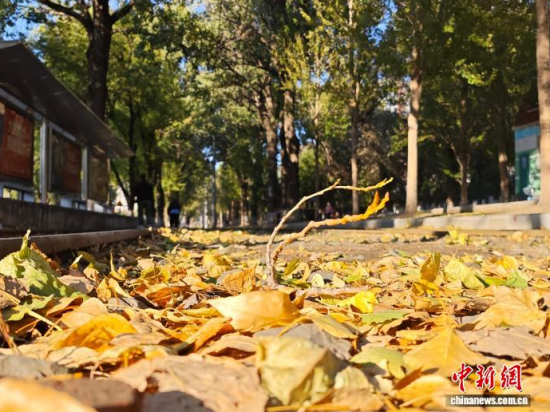 �S��54·��܉�܇�ؾ��h(hu��n)��������������߅�Lò�����������S���~䁝M·�������� ���z