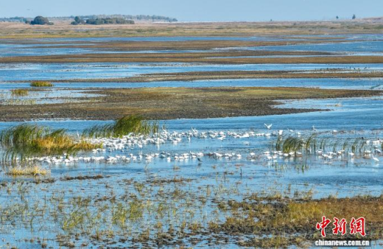 10��16��������ĪĪ���(gu��)�Ҽ�(j��)��Ȼ���o(h��)�^(q��)��(n��i)�������ڑ�ˮ��(�o(w��)�˙C(j��)��Ƭ)�w��� �z