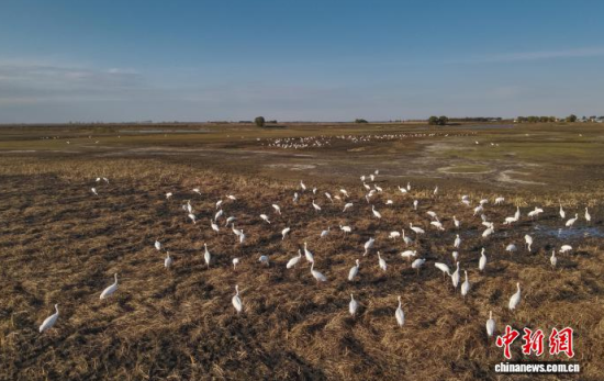 10��16�գ��ڼ���ĪĪ���(gu��)�Ҽ�(j��)��Ȼ���o(h��)�^(q��)��(n��i)���Q����Ϣ��(�o(w��)�˙C(j��)��Ƭ)�w��� �z