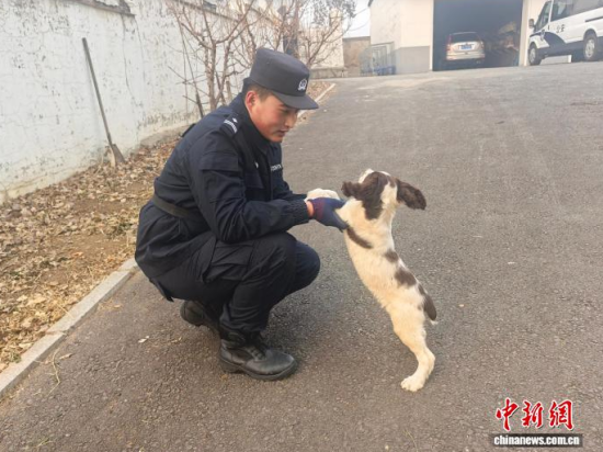 ���Ҳ������c�[�����B(y��ng)�H�ܶ�����ʯ���� �z