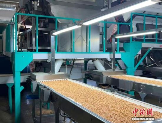 �������a(ch��n)����(�L�����P(gu��n)���D)