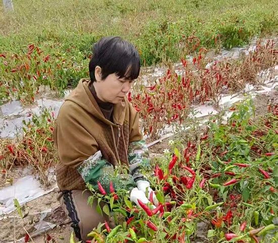 ͥԺ��(j��ng)���Nֲ