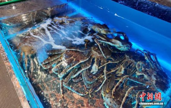 ���B(y��ng)����ĵ���з����߅��ί������ ���D