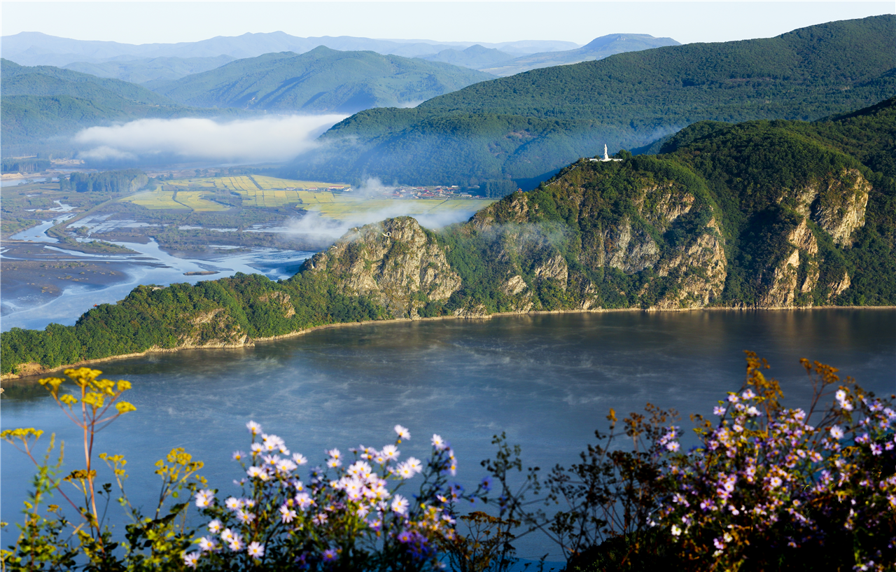 ����M���������u