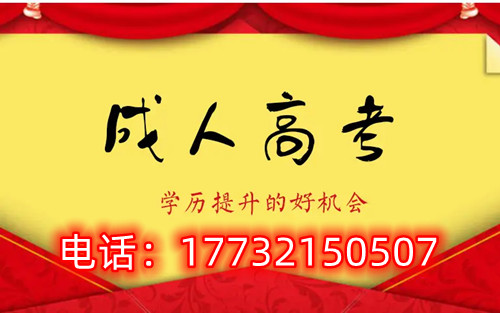 干貨！備考必讀，成考不踩雷！