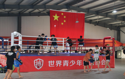 散打?qū)I(yè).png 散打?qū)I(yè).png