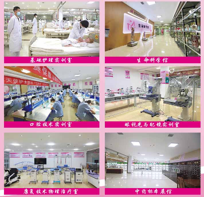 2026年春季石家莊天使護(hù)士學(xué)校招生簡章